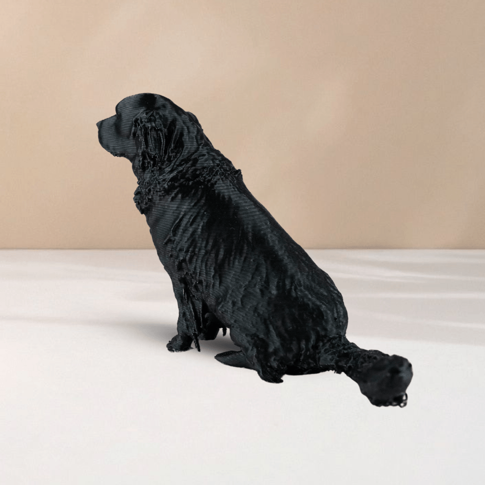 Pet-Me - imagine 7