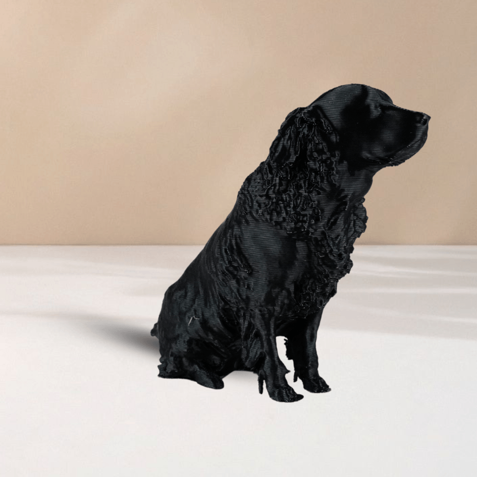 Pet-Me - imagine 5