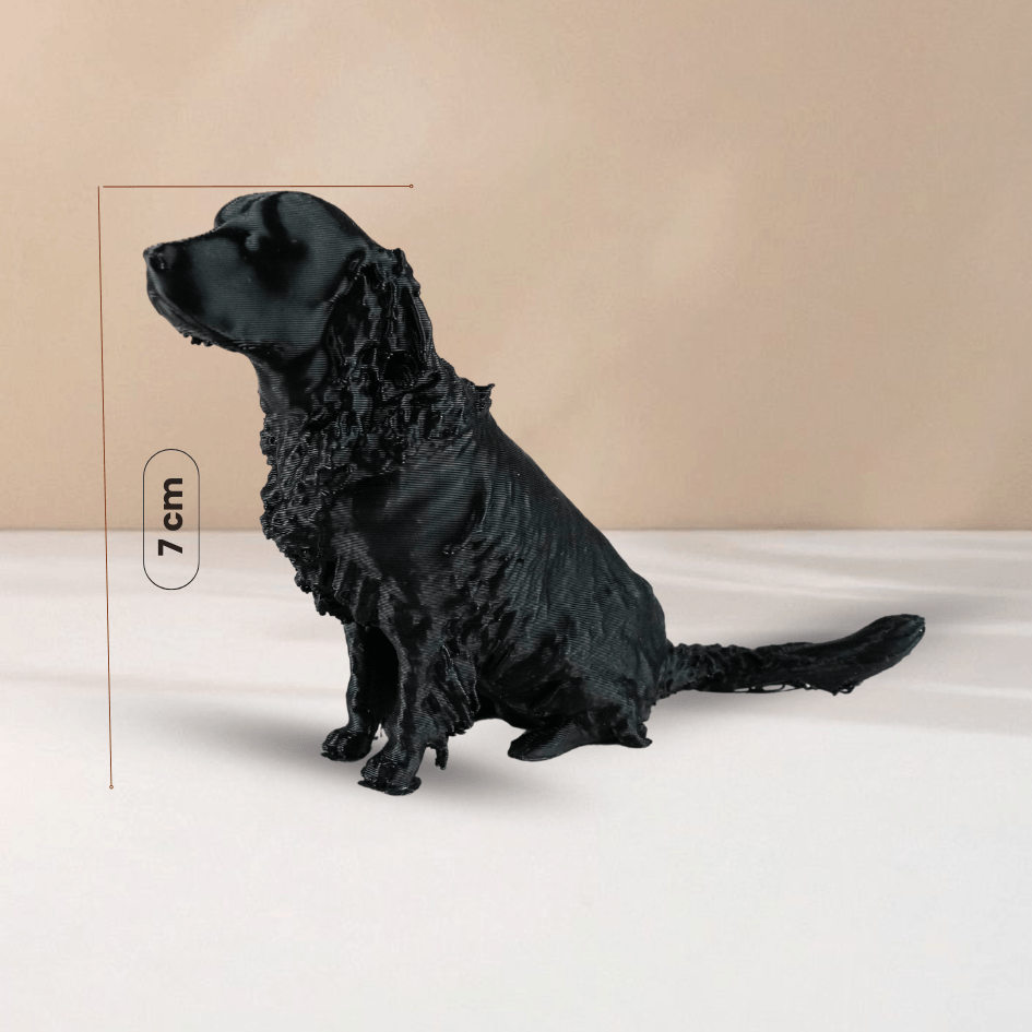 Pet-Me - imagine 6